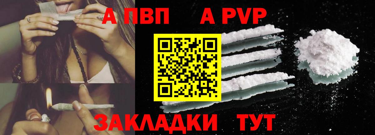 A PVP СК Тихвин