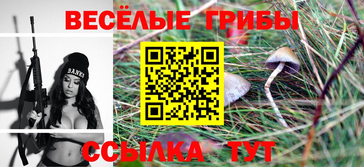 Псилоцибиновые грибы Psilocybe Тихвин